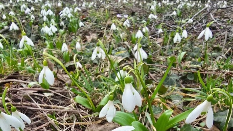      Фото: минприроды Ставропольского края