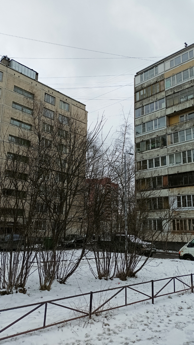 Фото автора. 14ч. СПб