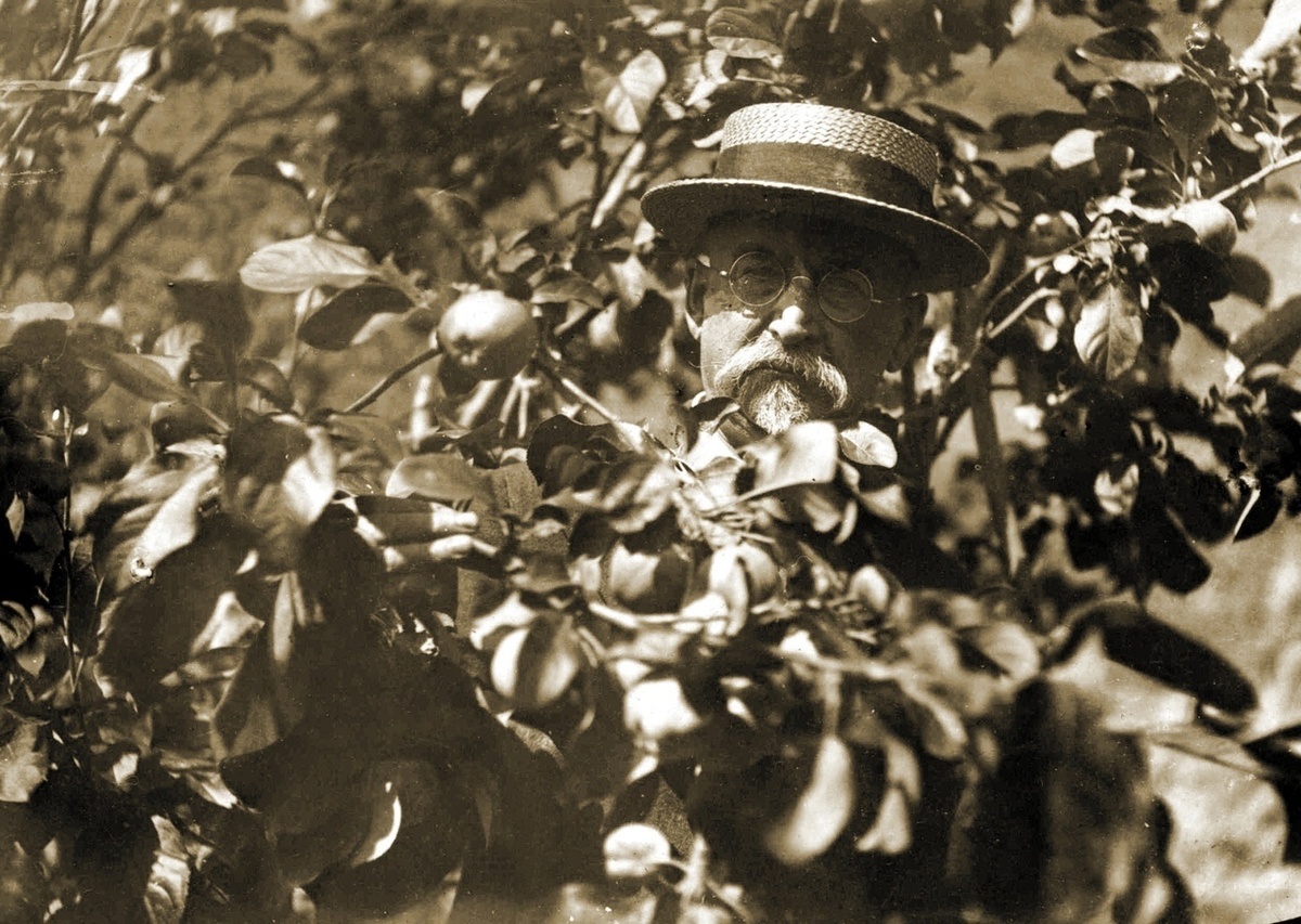 Фото из архива. На фото Дмитрий Иванович в своем саду.  