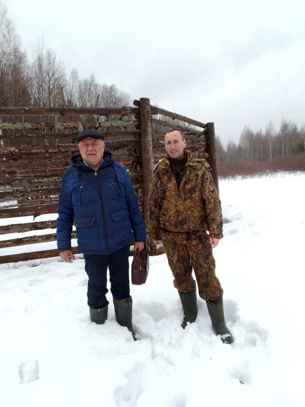    В Яранском районе не смогли найти трупы кабанов