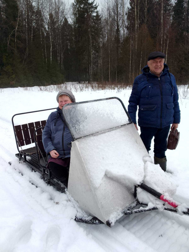    В Яранском районе не смогли найти трупы кабанов