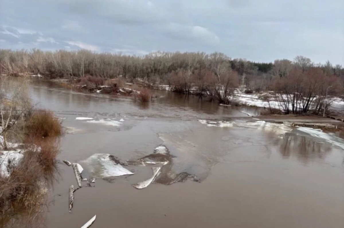    Ситуация с паводком в Бузулуке остается напряженной