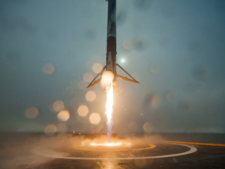 Фото: ru.wikipedia.org
