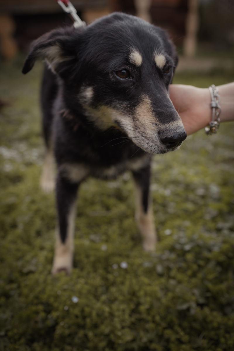 Как же я всего боюсь...