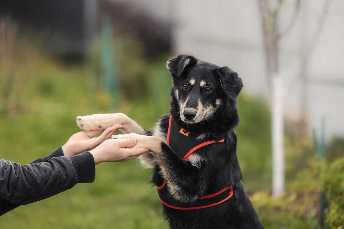 И совсем я вас не боюсь, люди!