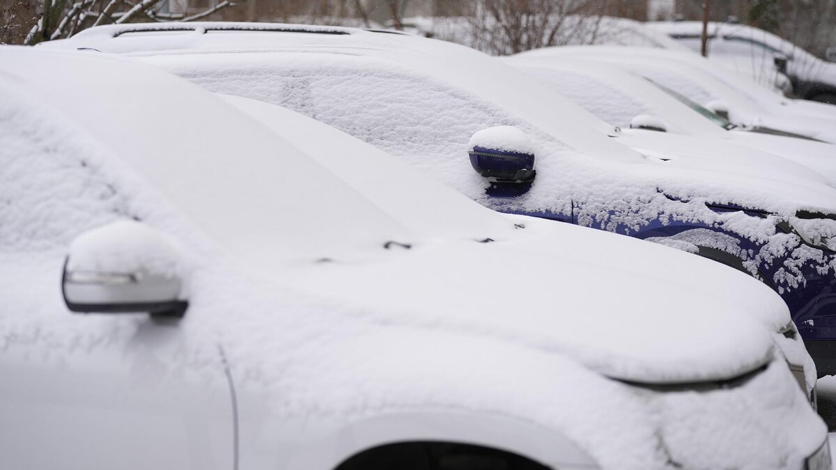    Фото: ИЗВЕСТИЯ/Дмитрий Коротаев
