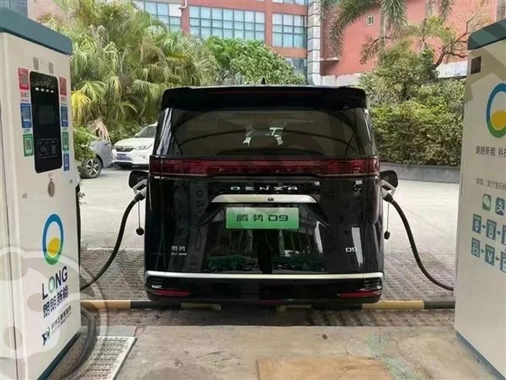 Двойная зарядка на примере Denza D9