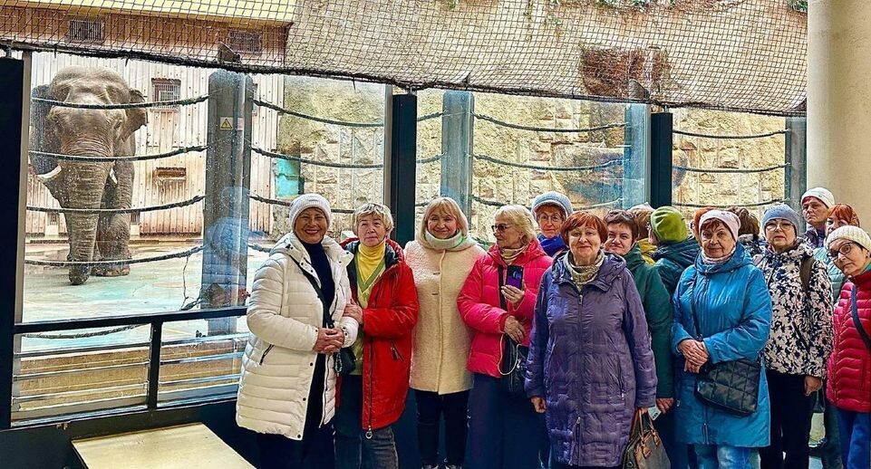    Министерство социального развития Московской области