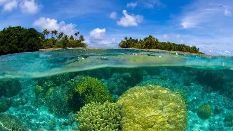    Фото: Luiz A. Rocha/Shutterstock/Fotodom