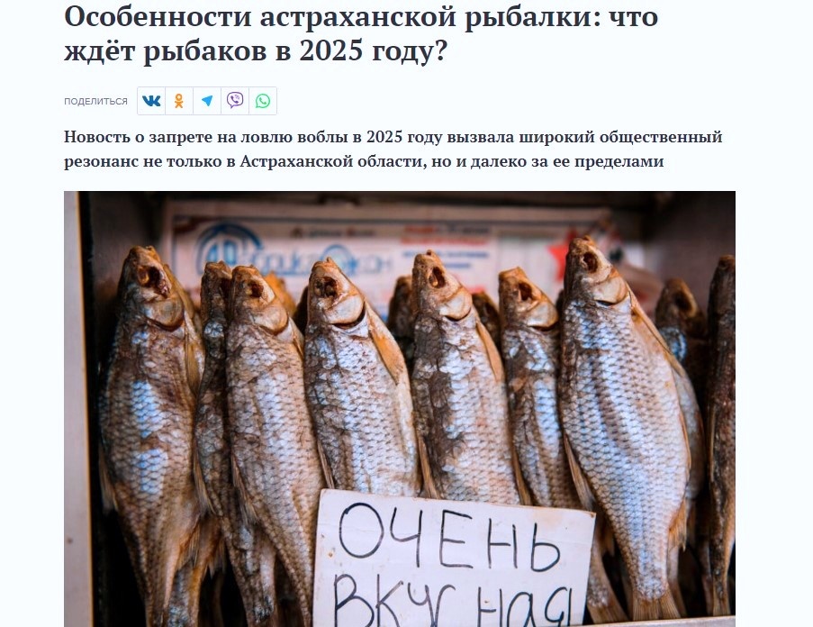 из своих архивов