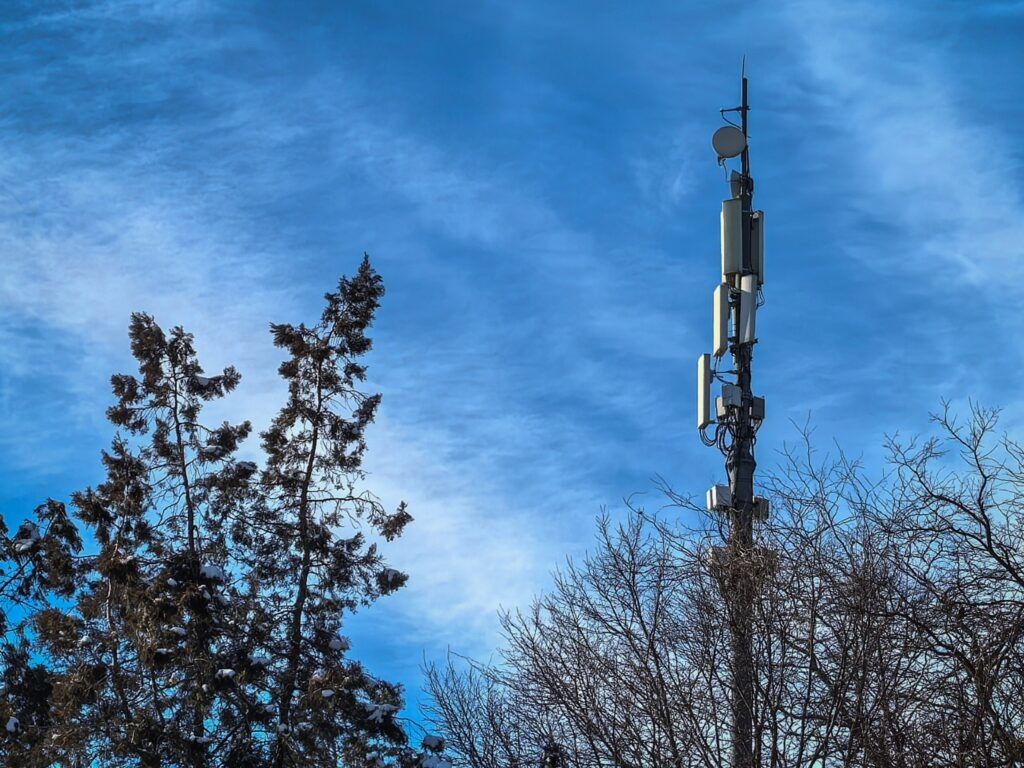    Фото: ПАО «МТС» Полина Анкушина