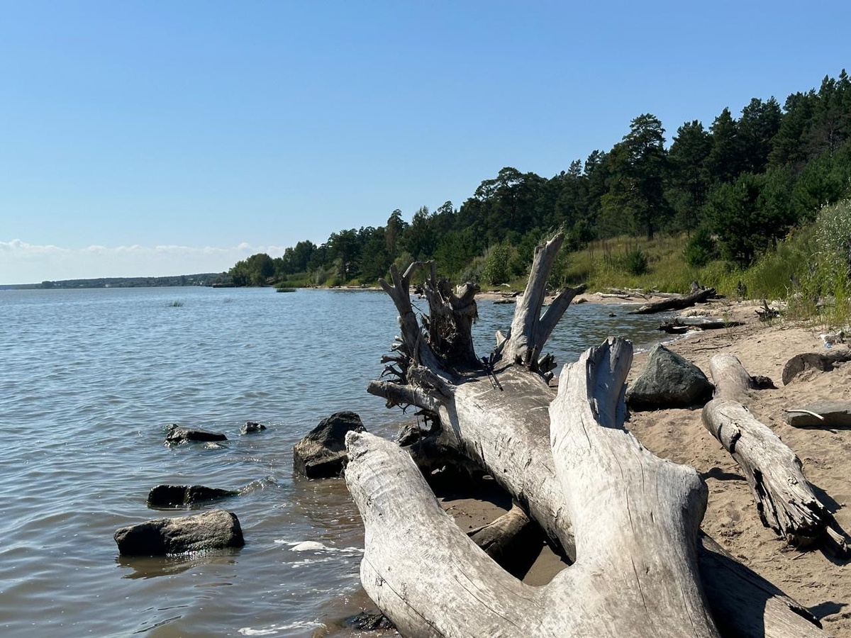 Фото автора. Обь матушка.