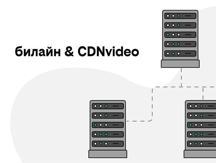    ФОТО: предоставлено пресс-службой билайн