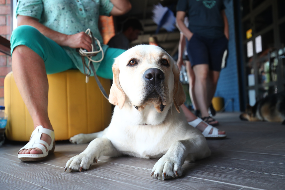 © Фото: ИД «Волгоградская правда» / архив