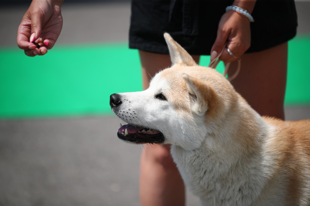 © Фото: ИД «Волгоградская правда» / архив