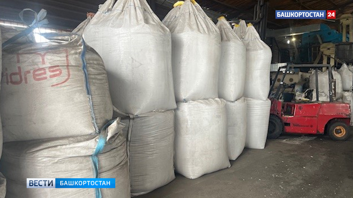    Башкирская редька отправилась в Беларусь