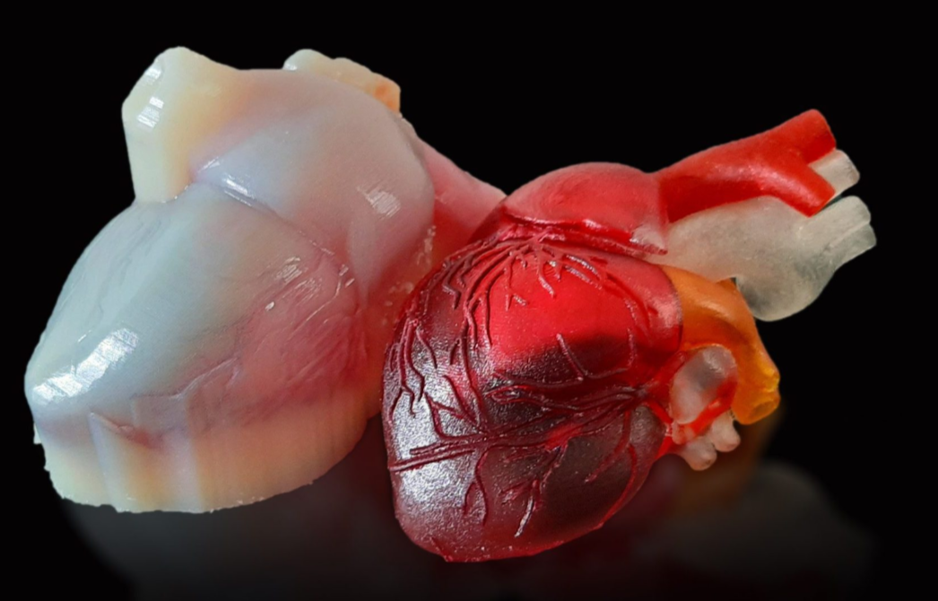 Фото: postprocess.com, напечатанное при помощи PolyJet медицинское учебное пособие