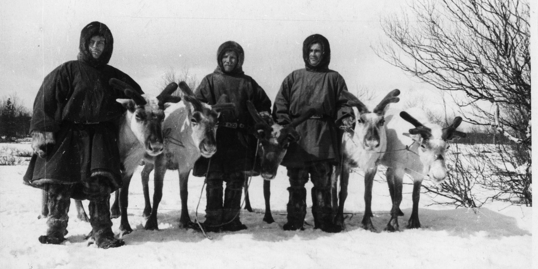 День оленевода: традиции и современность на празднике Севера