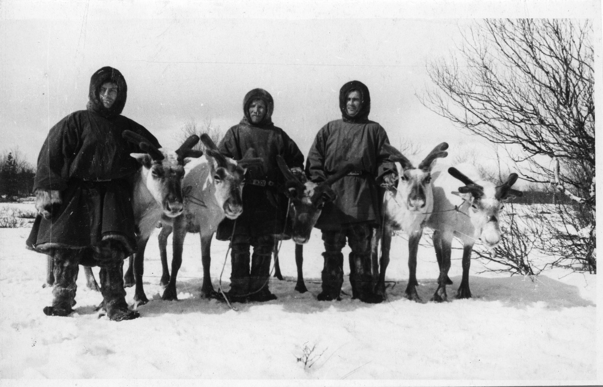 РЭМ 12511-10. Оленевод совхоза Тундра. с Ловозеро. 1961 г.