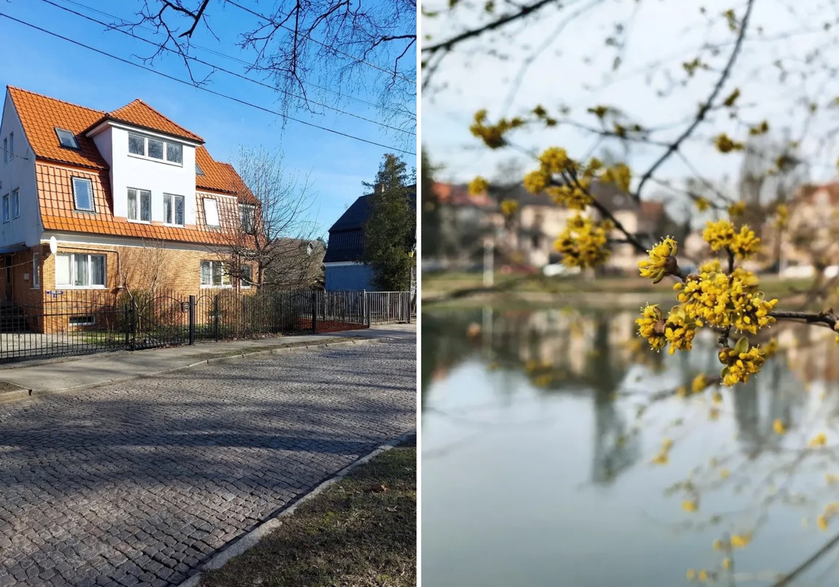 Середина марта в Калининграде. Солнечно, ярко, по-весеннему (хотя в последние 2 дня погода не особо радует, ночью стоят заморозки)
