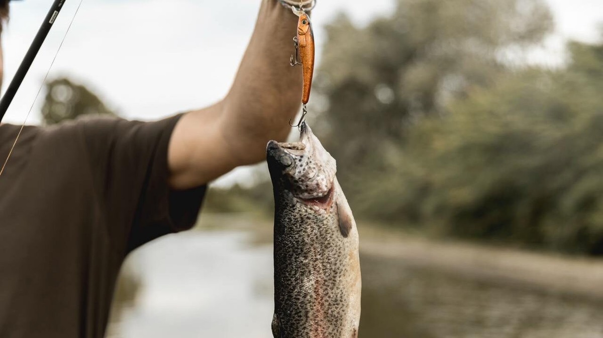    К 10 марта на юге России выловили 10,8 тысячи тонн рыбы. Фото: Freepik