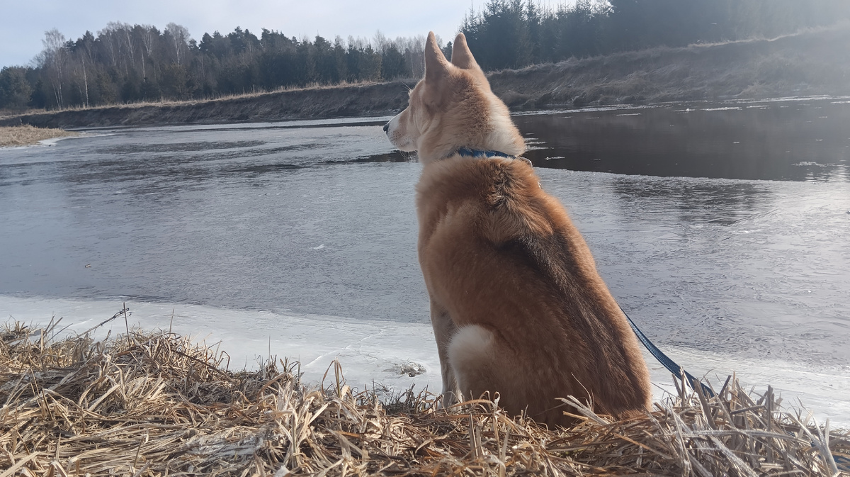 Река уже без льда. 