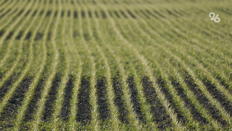      Фото: ИА «Победа26»