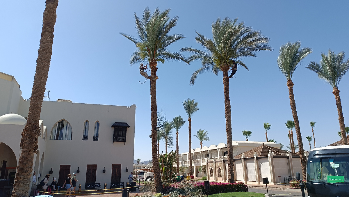 Альпинисты