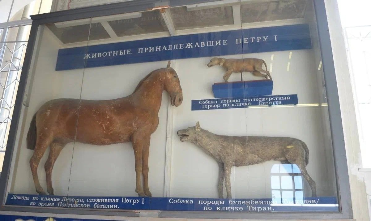 Фото из открытых источников