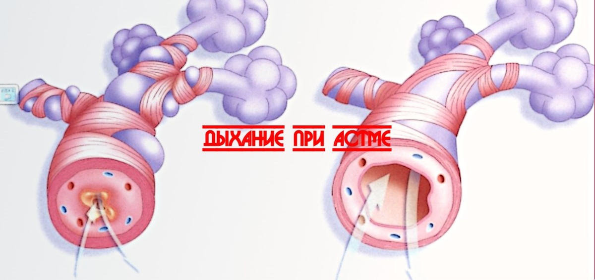 Советы физиолога