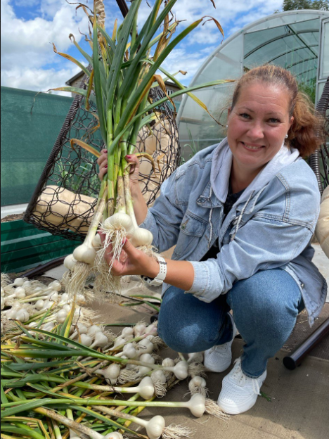 Как посадить чеснок весной