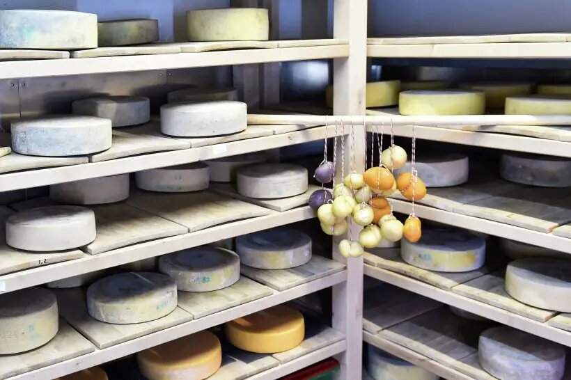     © РИА Новости. Владимир Николаев