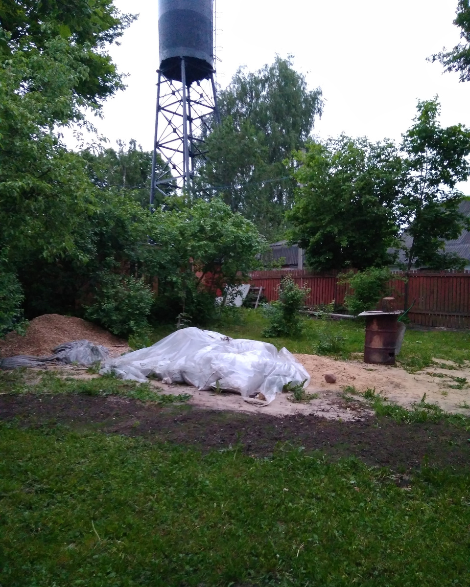 Мой сад, 2017 год