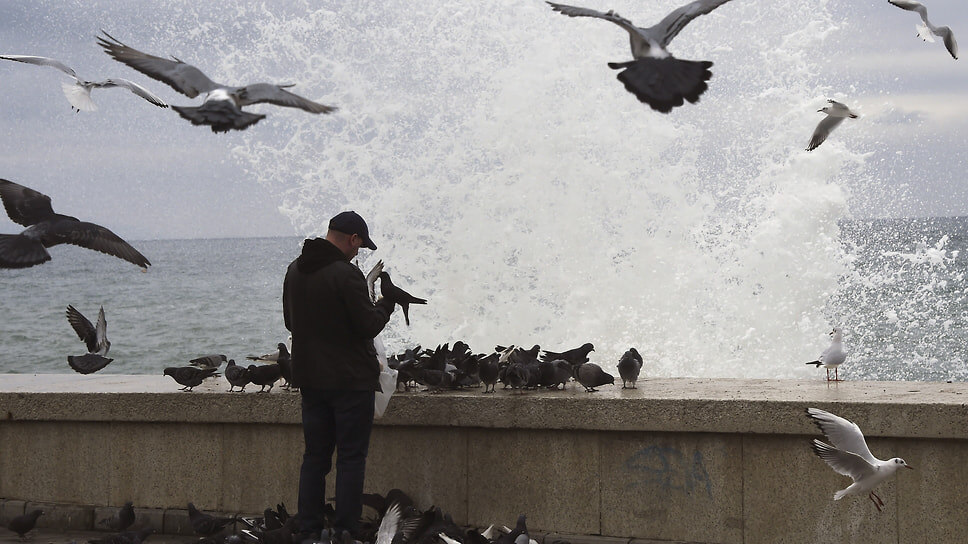 Фото: Виктор Коротаев / Коммерсантъ
