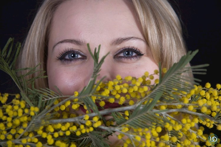 Фото из интернета. Соседка с мимозой.