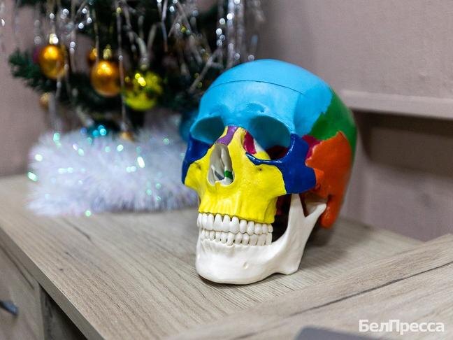 Фото: Алексей Дацковский