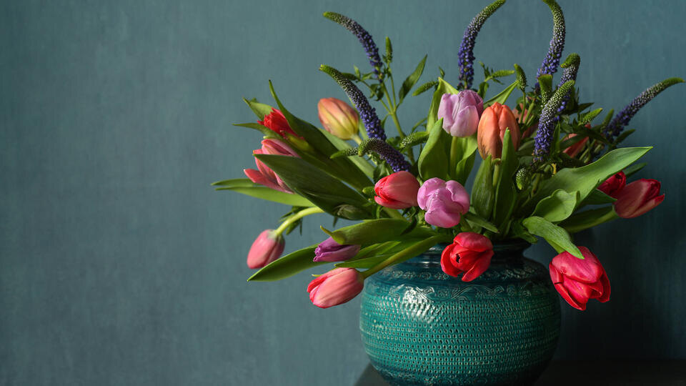 Фото: © Global Look Press/IMAGO/Zoonar.com/Didora Ganna