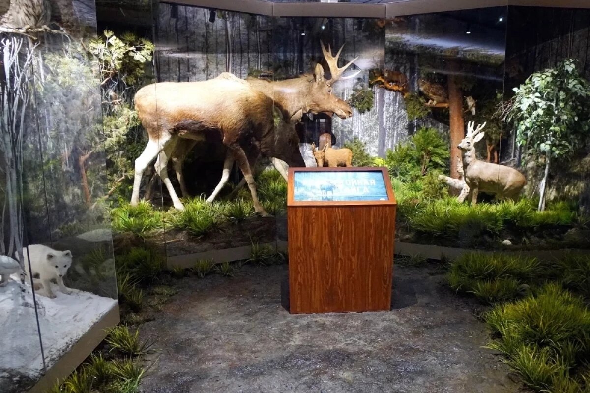    В Мурманске реконструкция краеведческого музея обошлась в 703 млн рублей