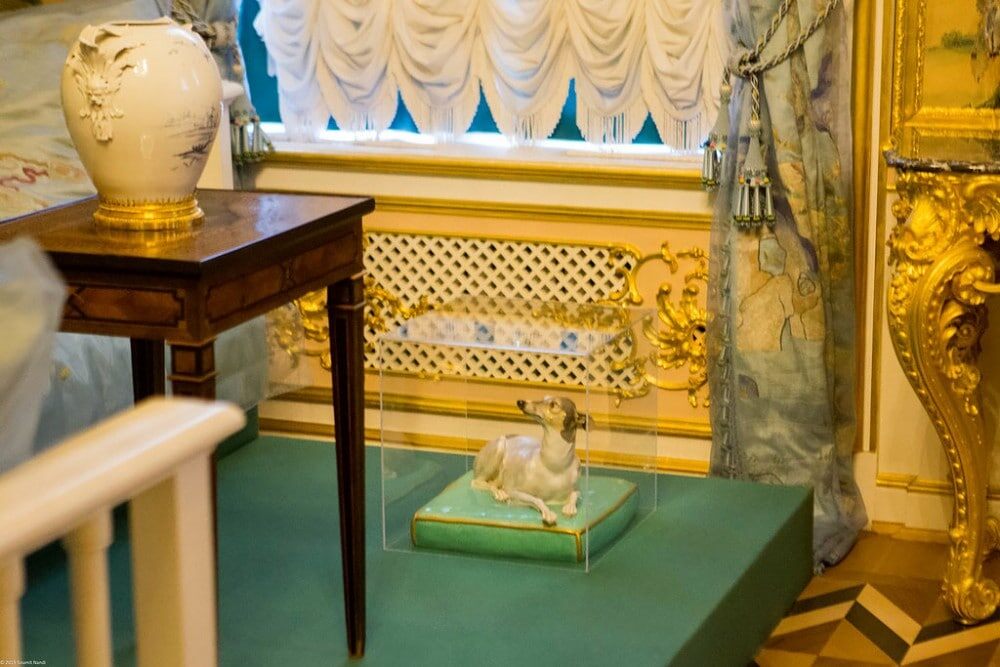 Фото из открытых источников