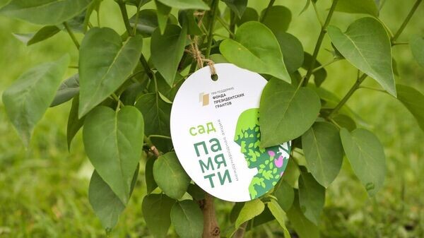    © Соцсети главы РК Сергея Аксенова