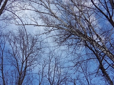 Фотография из личного архива автора