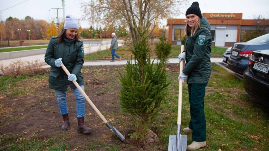    Фото: vk.com/minecort