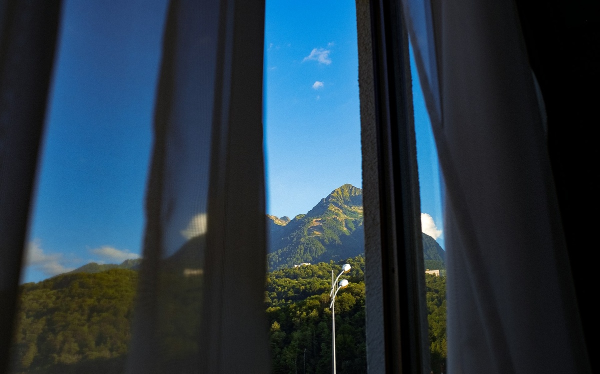 Фото: Igor Chitz / Unsplash