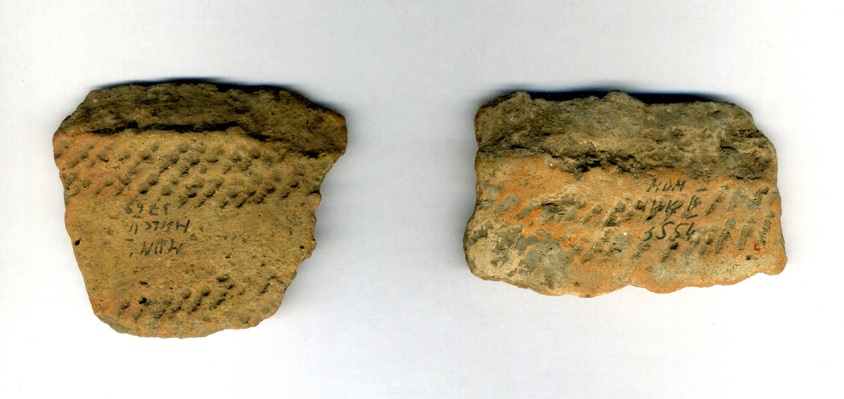 Фрагменты сосудов с изломом на стыках глиняных лент. Верхневолжская культура. 5 тыс. до н. э. Поселение Никольская 2