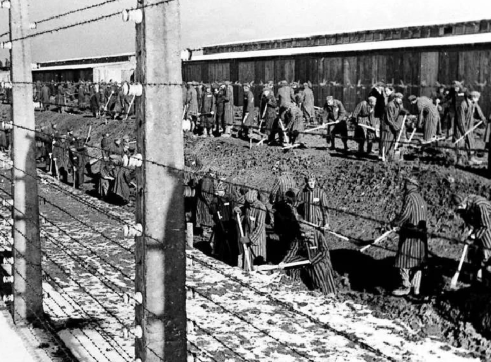 фото для иллюстрации