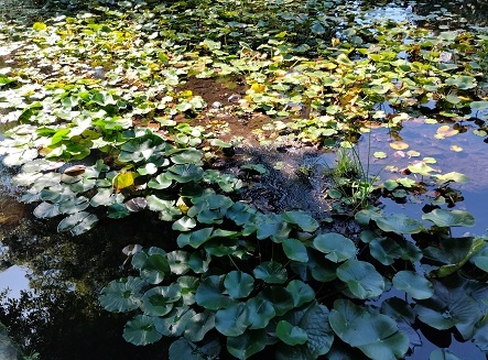 Фотография из личных архивов автора