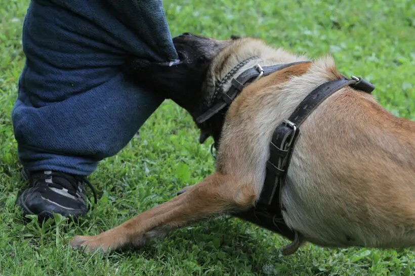     © РИА Новости. Михаил Фомичев