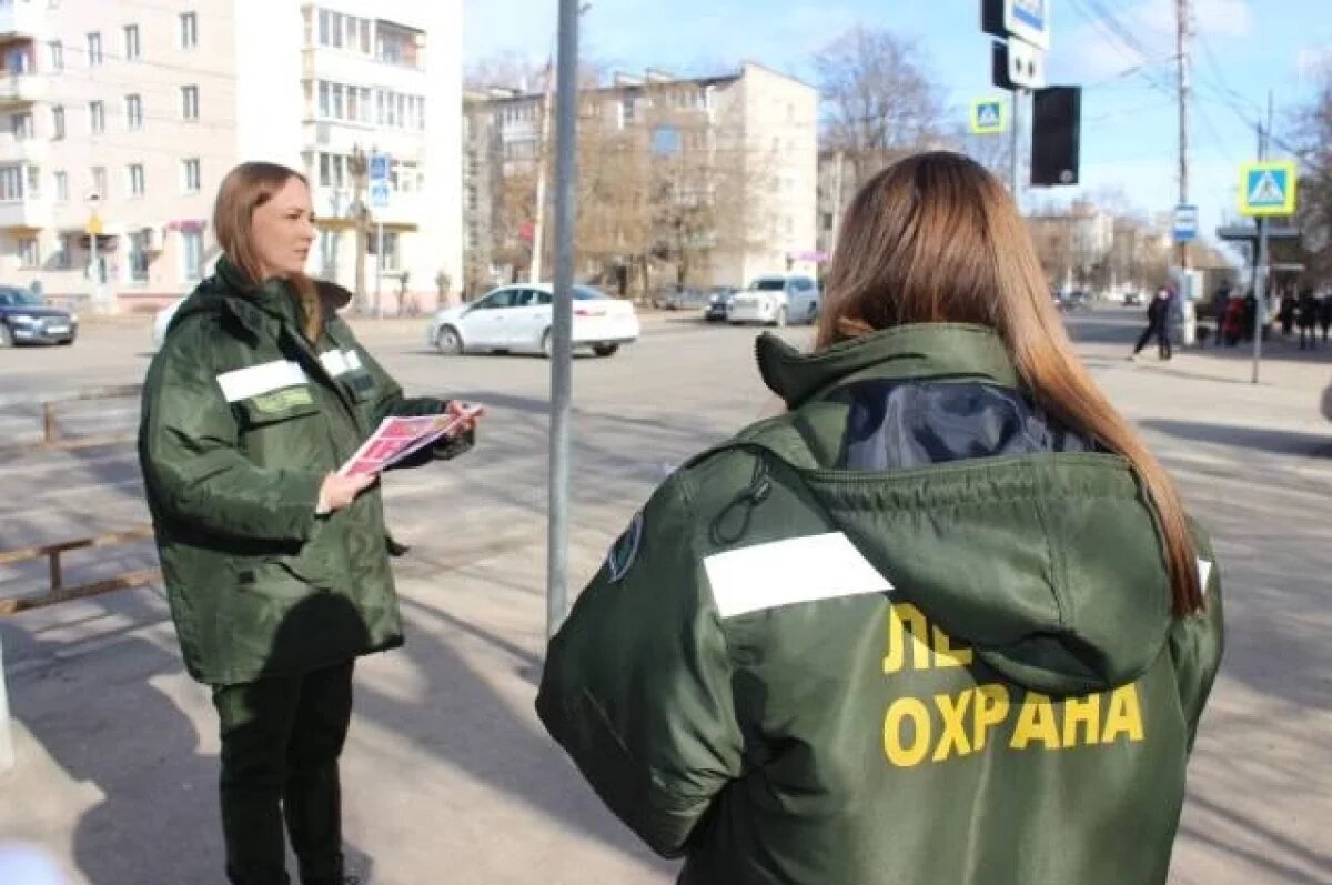    Жителям Тверской области напомнили о запрете на пал травы