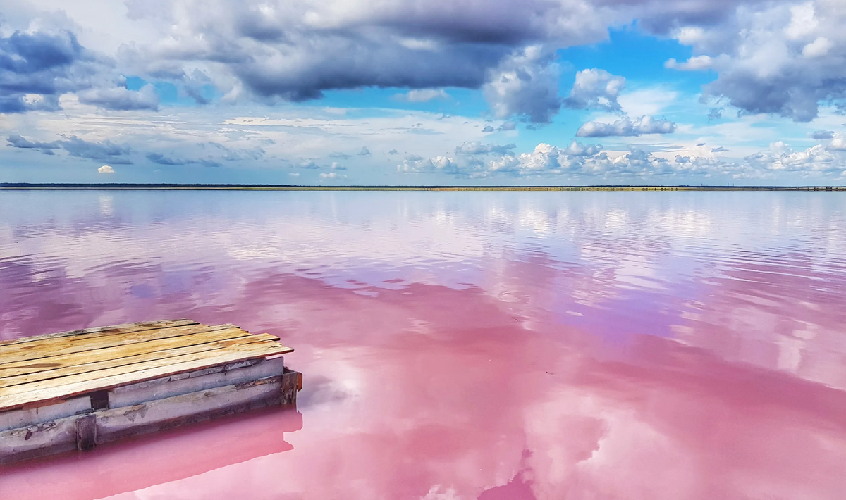 Фото: fotobase.co