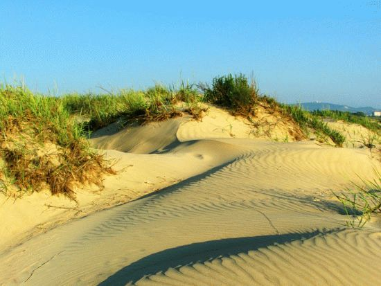 Лето будет! Взято из интернета